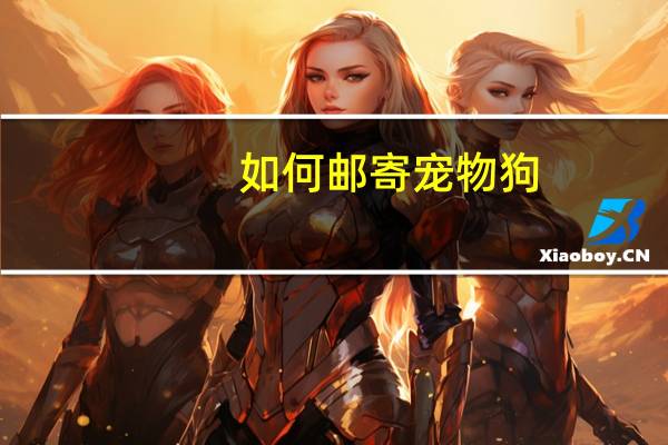 如何邮寄宠物狗