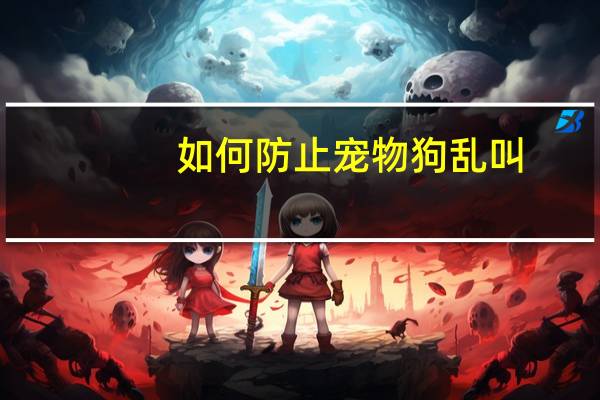 如何防止宠物狗乱叫