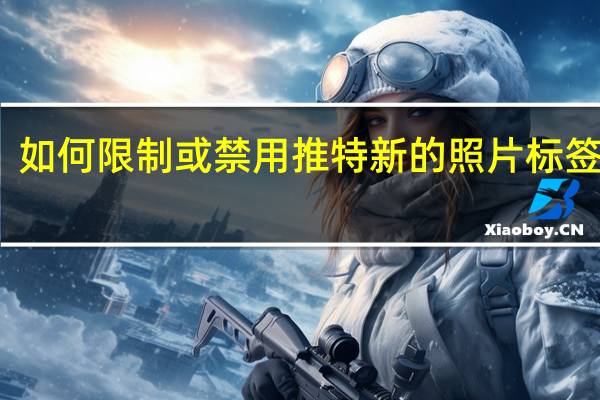 如何限制或禁用推特新的照片标签功能