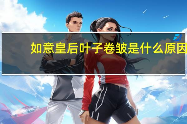 如意皇后叶子卷皱是什么原因