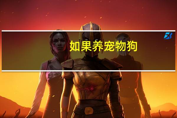 如果养宠物狗