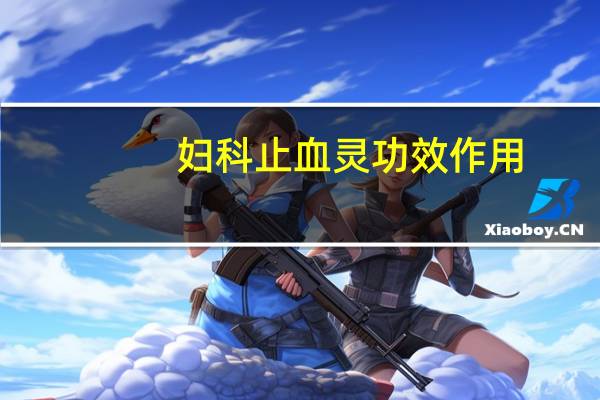 妇科止血灵功效作用（妇科止血药有哪些）