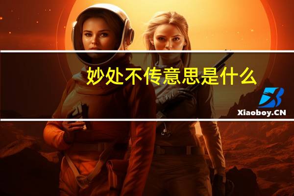 妙处不传意思是什么