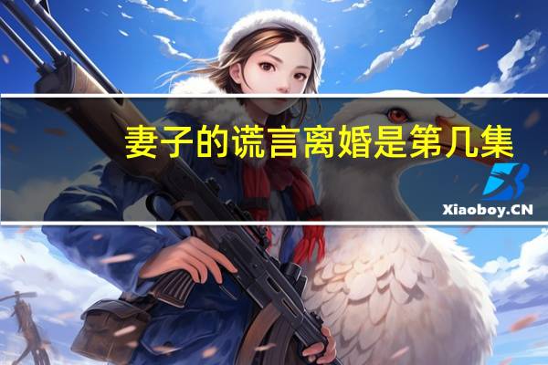 妻子的谎言离婚是第几集（婚姻禁区妻子的谎言）