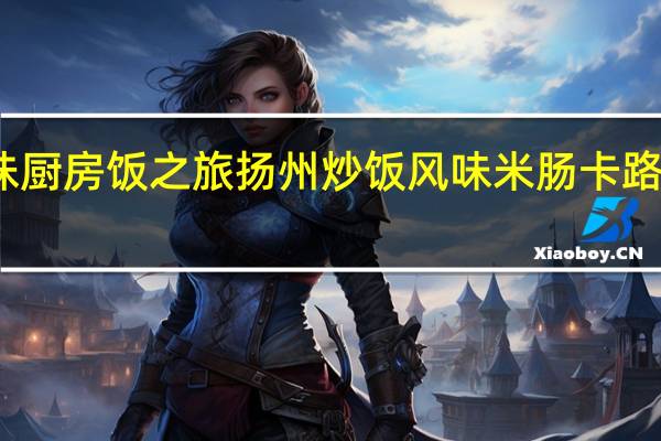 姐妹厨房 饭之旅 扬州炒饭风味米肠卡路里是多少
