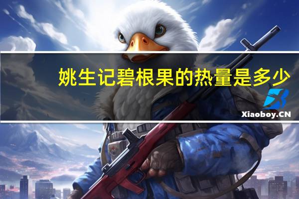 姚生记 碧根果的热量是多少