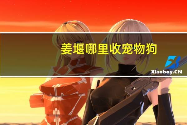 姜堰哪里收宠物狗