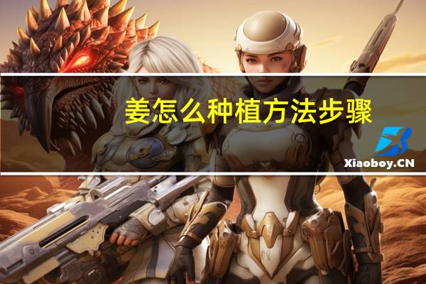 姜怎么种植方法步骤