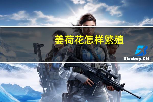 姜荷花怎样繁殖