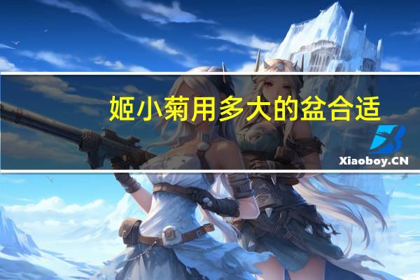 姬小菊用多大的盆合适