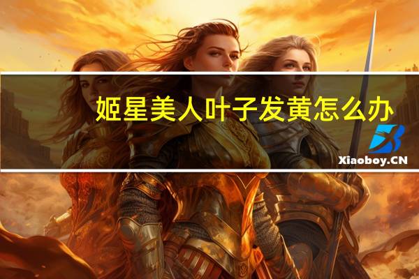 姬星美人叶子发黄怎么办