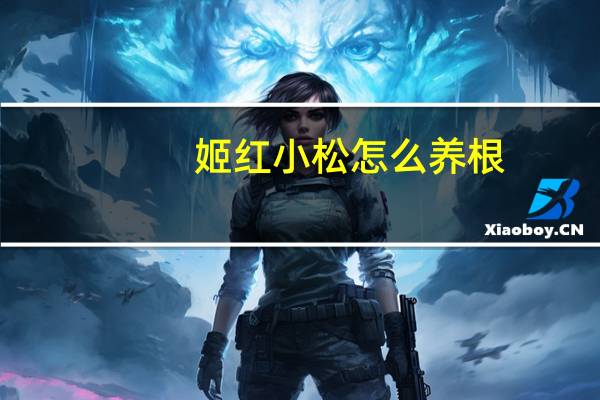 姬红小松怎么养根