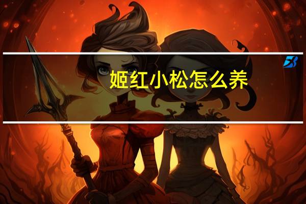 姬红小松怎么养