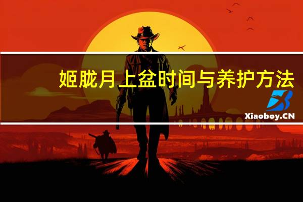 姬胧月上盆时间与养护方法