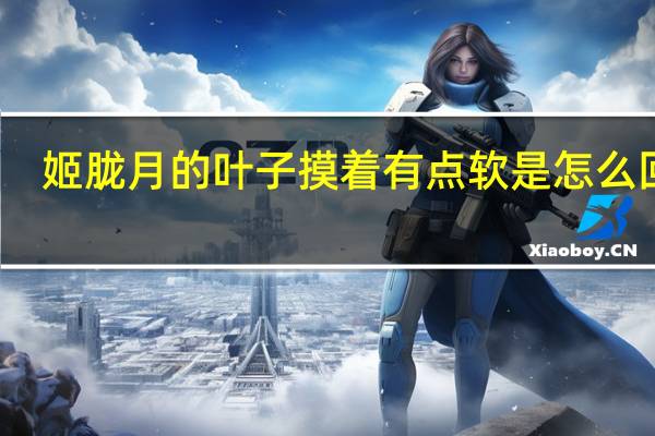 姬胧月的叶子摸着有点软是怎么回事