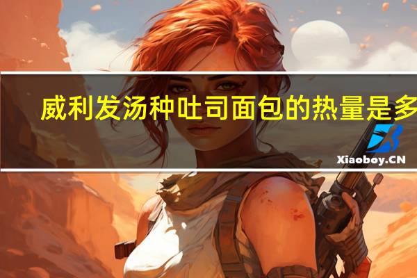 威利发 汤种吐司面包的热量是多少