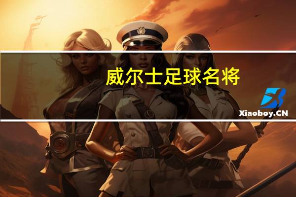 威尔士足球名将（达席尔瓦-威尔士足球运动员简介）