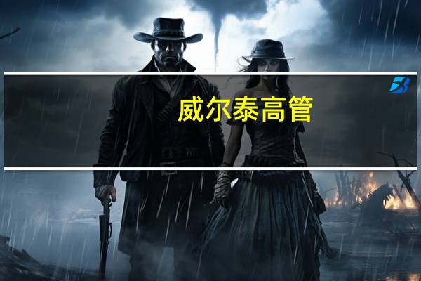 威尔泰高管（威尔泰[002058]简介）