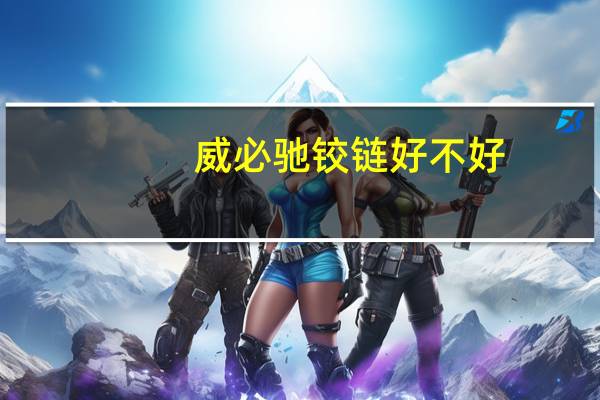 威必驰铰链好不好