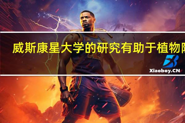 威斯康星大学的研究有助于植物除名