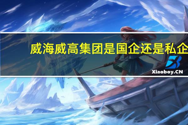 威海威高集团是国企还是私企（威海威高集团）