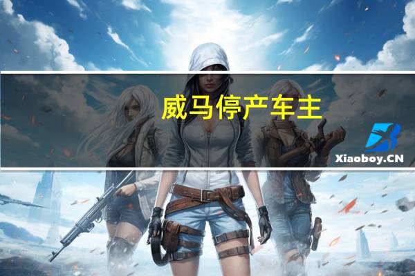威马停产 车主：保险公司通知 所有车险不再承保威马车损险