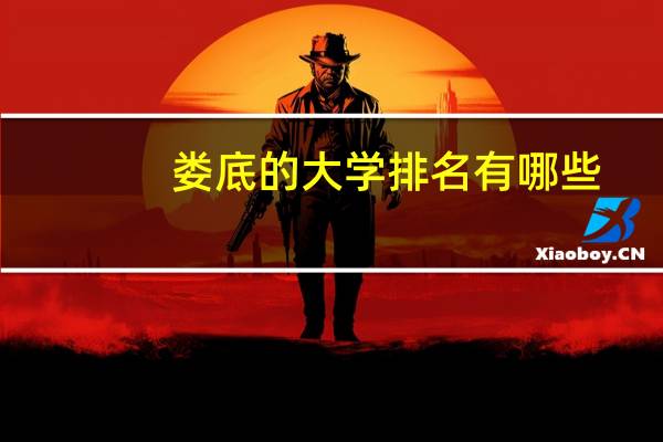 娄底的大学排名有哪些