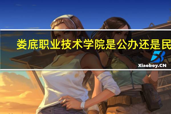 娄底职业技术学院是公办还是民办