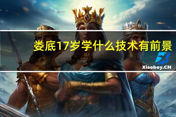 娄底17岁学什么技术有前景