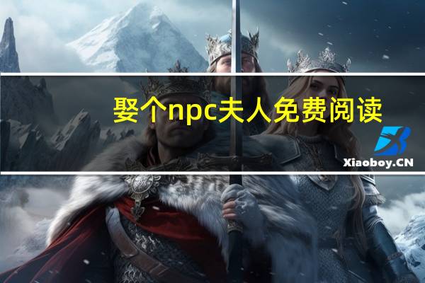 娶个npc夫人免费阅读（娶个npc夫人）