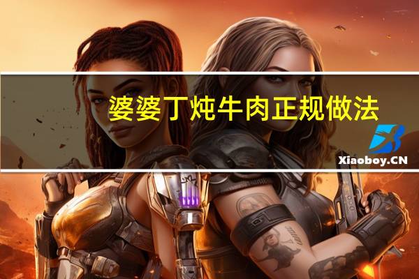 婆婆丁炖牛肉正规做法
