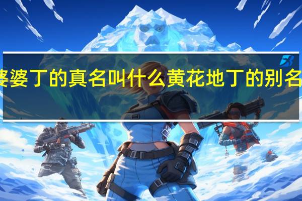 婆婆丁的真名叫什么 黄花地丁的别名叫什么