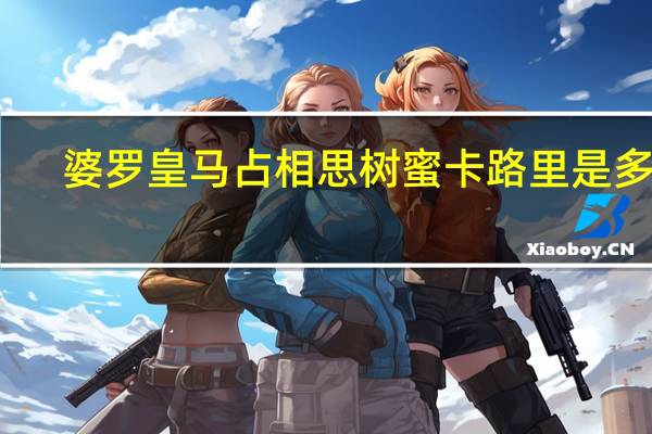 婆罗皇 马占相思树蜜卡路里是多少