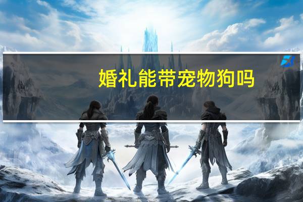 婚礼能带宠物狗吗