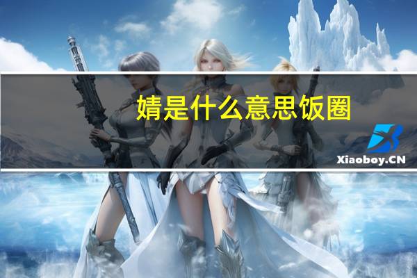 婧是什么意思饭圈（婧是什么意思）