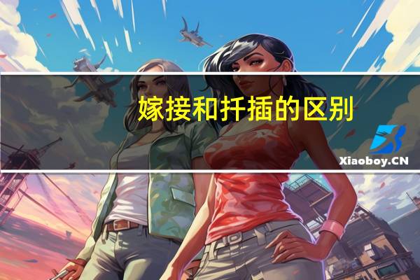 嫁接和扦插的区别