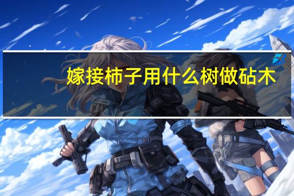 嫁接柿子用什么树做砧木