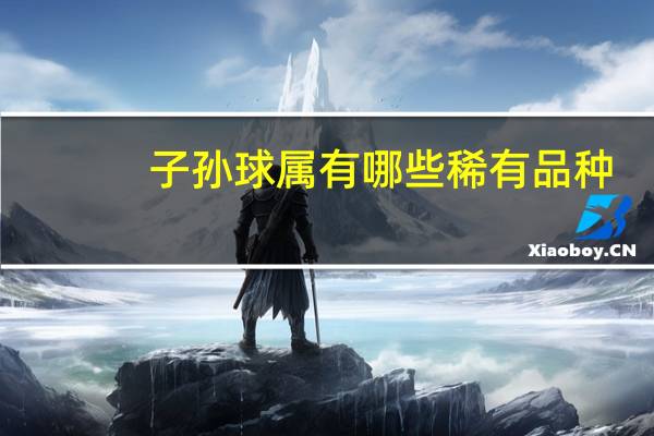 子孙球属有哪些稀有品种