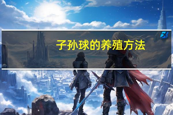 子孙球的养殖方法：多晒太阳
