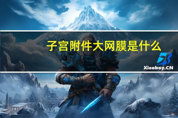 子宫附件大网膜是什么（大网膜是什么）