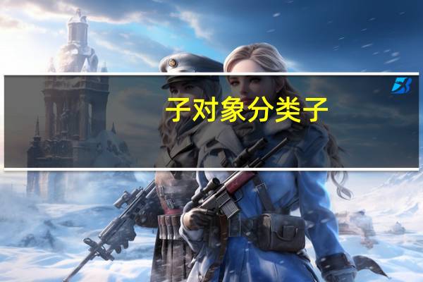 子对象分类子(关于子对象分类子简述)