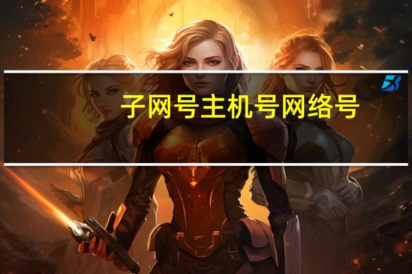 子网号主机号网络号（子网号主机号）