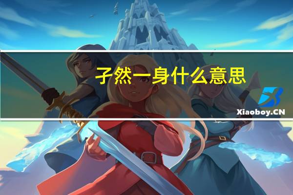 孑然一身什么意思