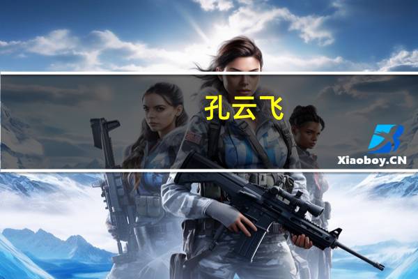 孔云飞(关于孔云飞简述)