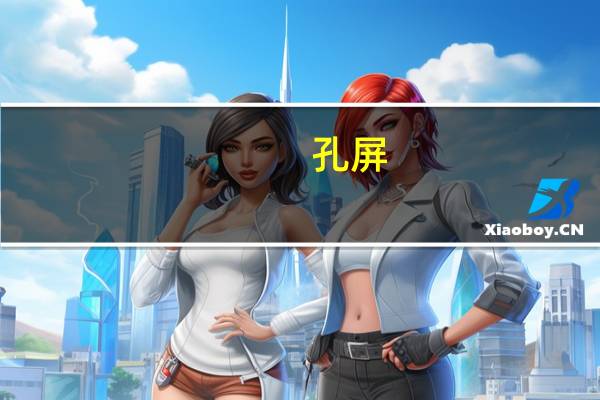 孔屏(关于孔屏简述)