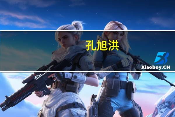 孔旭洪(关于孔旭洪简述)