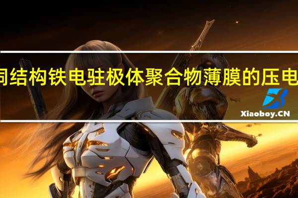 孔洞结构铁电驻极体聚合物薄膜的压电性能研究(关于孔洞结构铁电驻极体聚合物薄膜的压电性能研究简述)