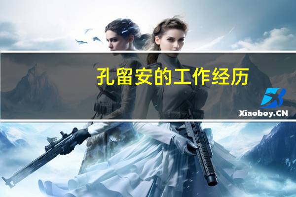 孔留安的工作经历