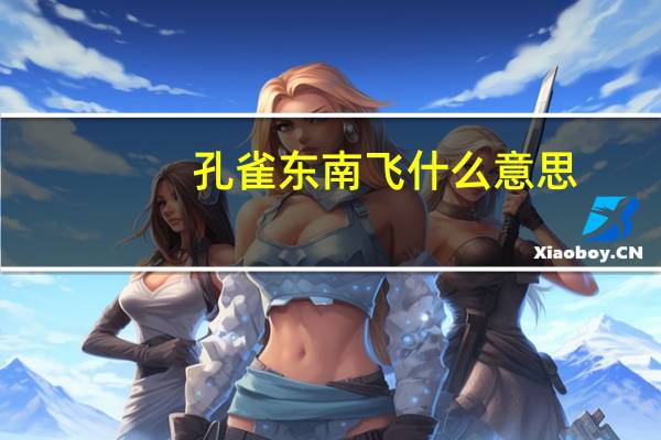 孔雀东南飞什么意思