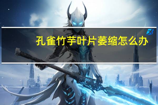 孔雀竹芋叶片萎缩怎么办